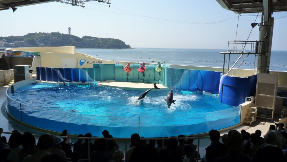 新江ノ島水族館の写真 ©baggio4ever(CC BY 3.0)