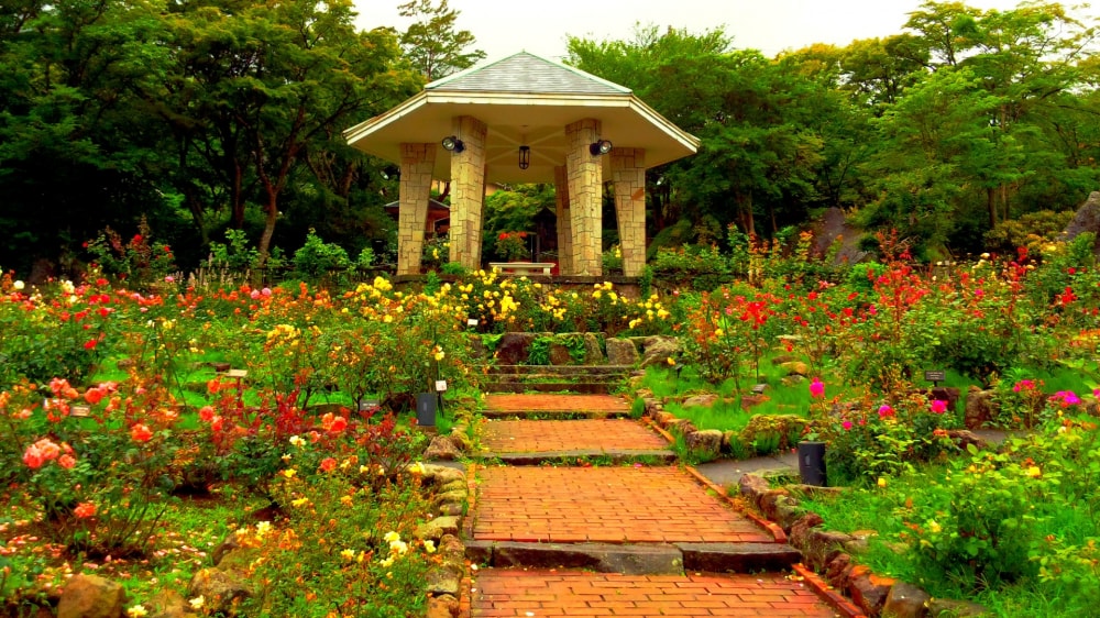 箱根強羅公園の写真 
