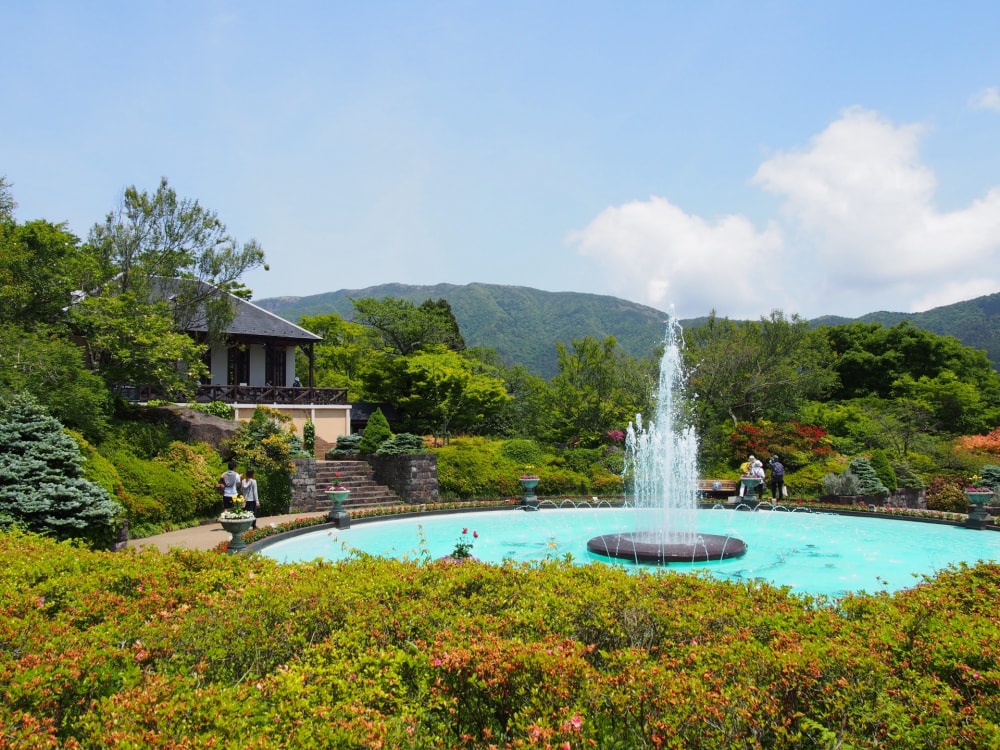 箱根強羅公園の写真 