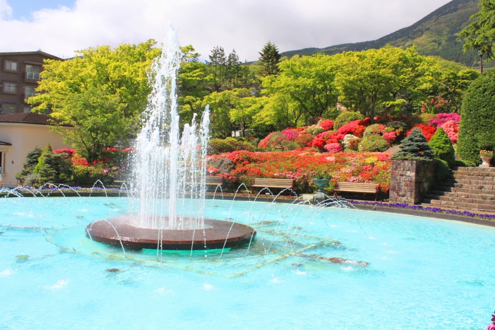 箱根強羅公園の写真 