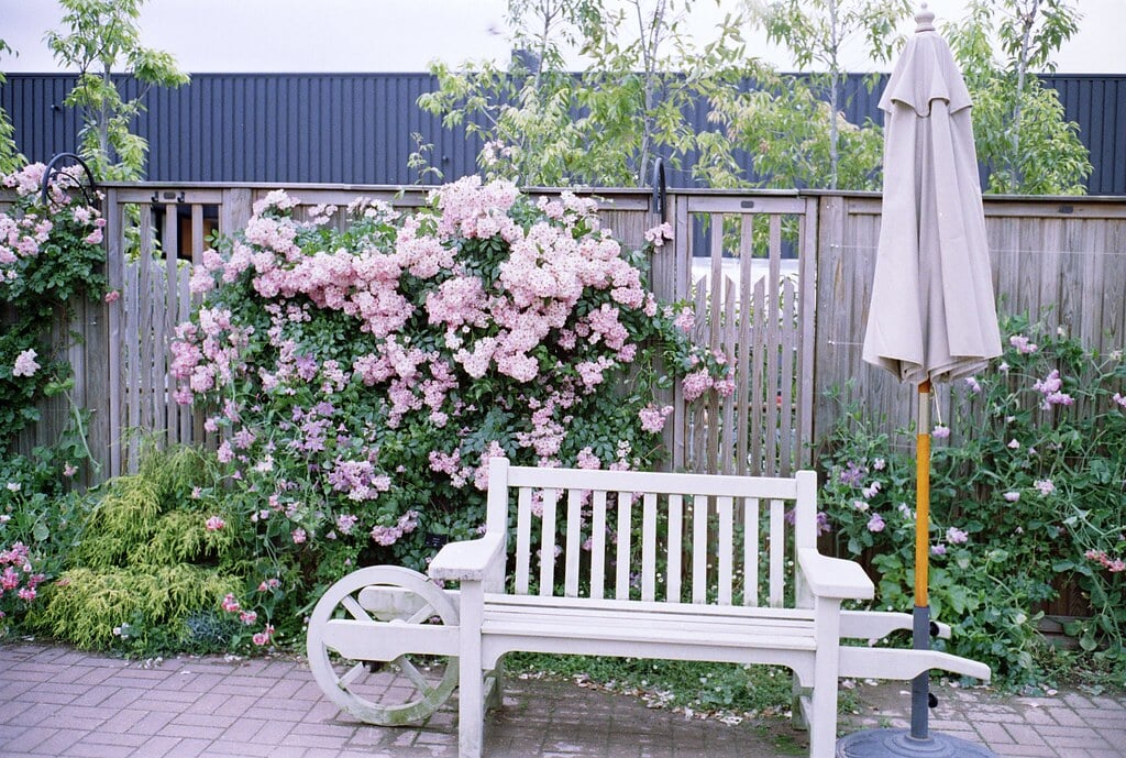 横浜イングリッシュガーデンの写真 ©revelyrist(CC BY-SA 2.0)