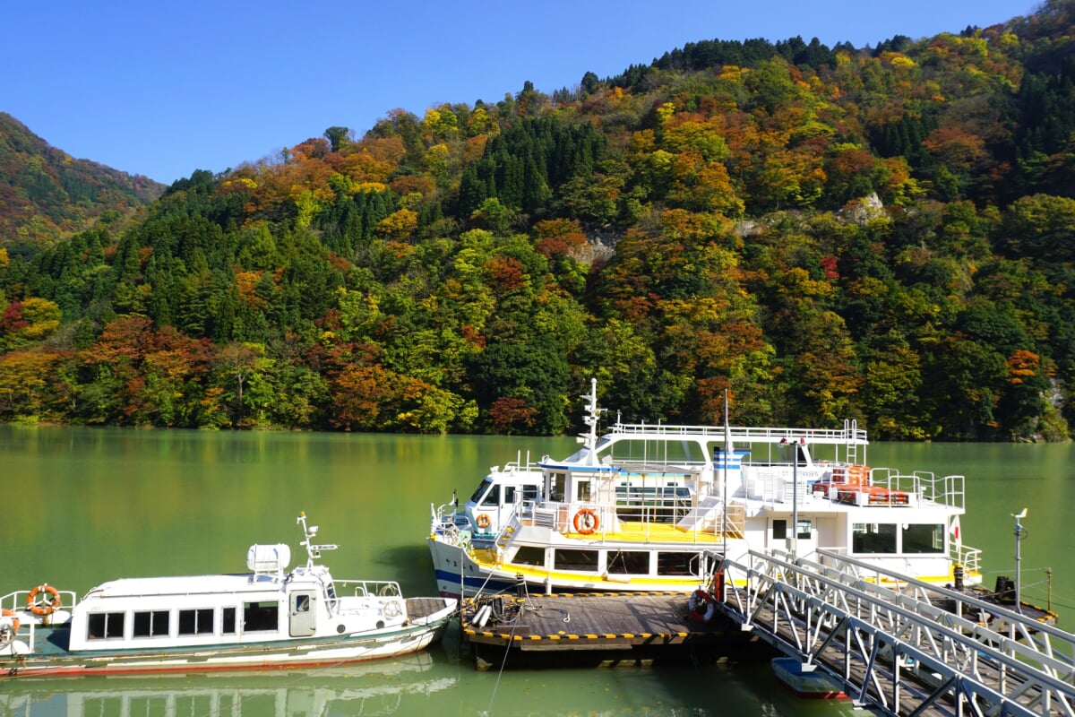 庄川遊覧船の写真 