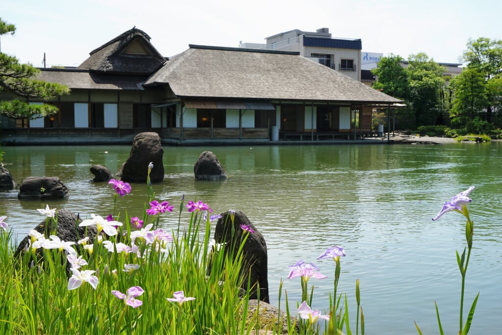 名勝養浩館庭園の写真 