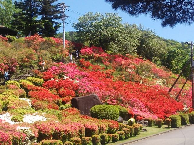 小室山公園の写真 
