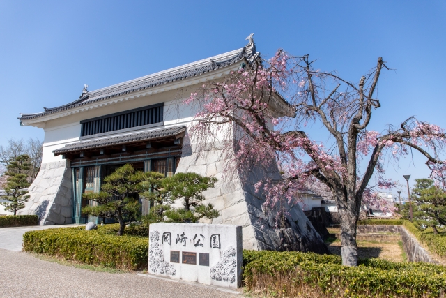 岡崎城の写真 