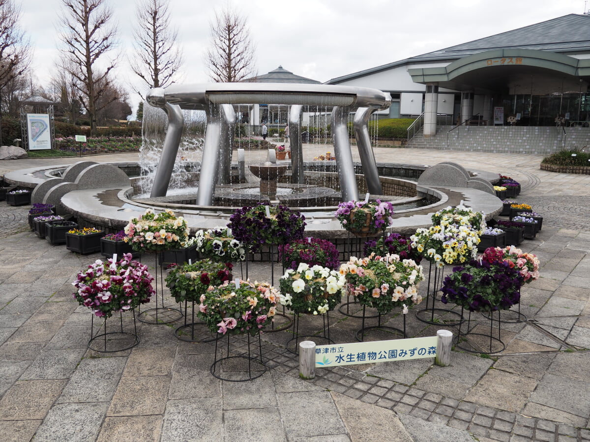 草津市立水生植物公園みずの森の写真 ©Motokoka(CC BY-SA 4.0)
