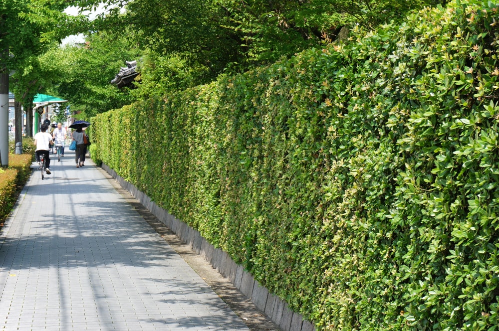 法金剛院の写真 ©663highland(CC BY-SA 4.0)