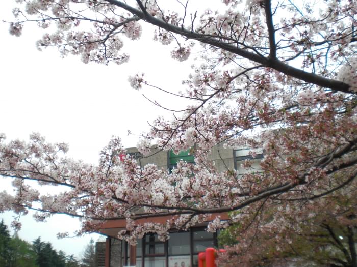 万博記念公園の写真 