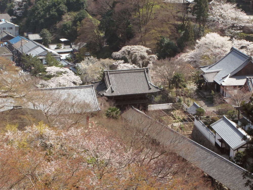 総本山 長谷寺の写真 ©M338(CC BY-SA 3.0)