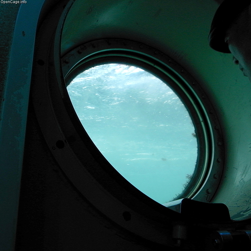 白浜海中展望塔の写真 ©OpenCage(CC BY-SA 2.5)