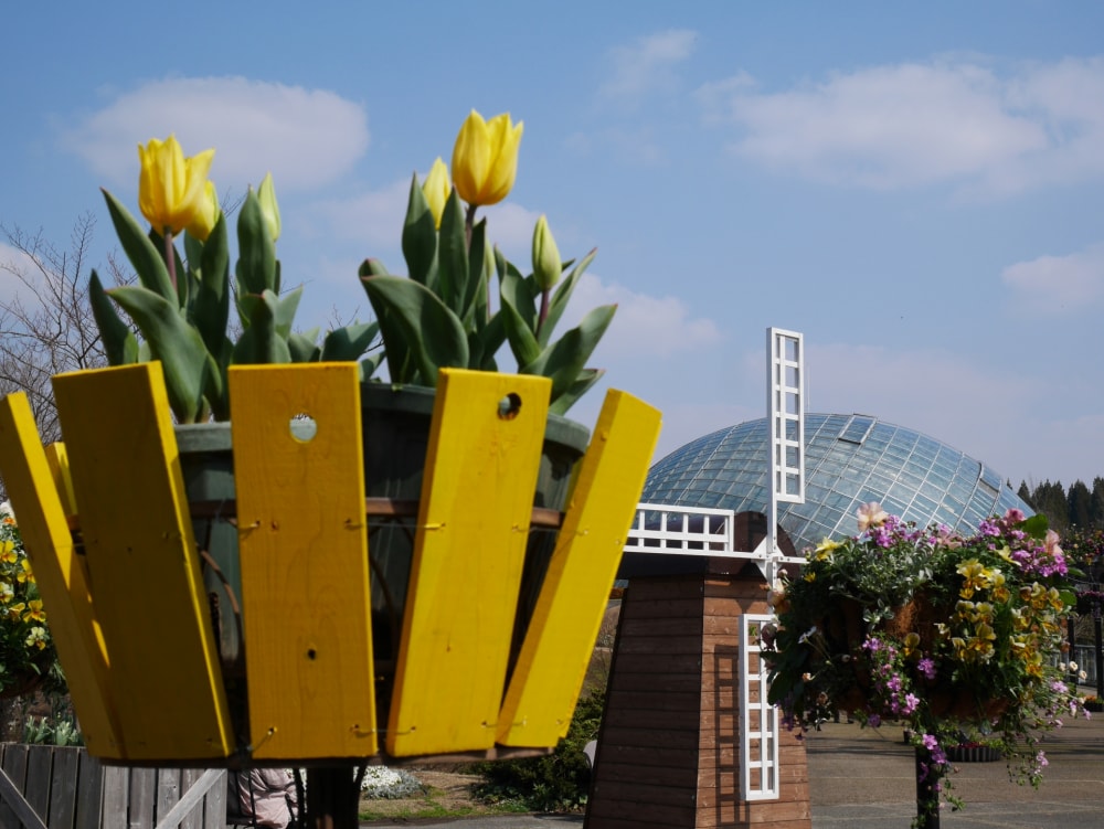 とっとり花回廊の写真 