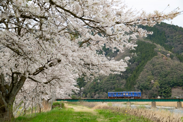 若桜鉄道の写真 