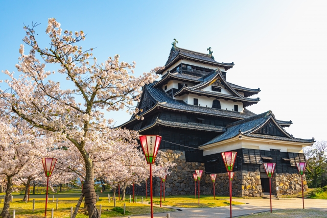 国宝 松江城の写真 