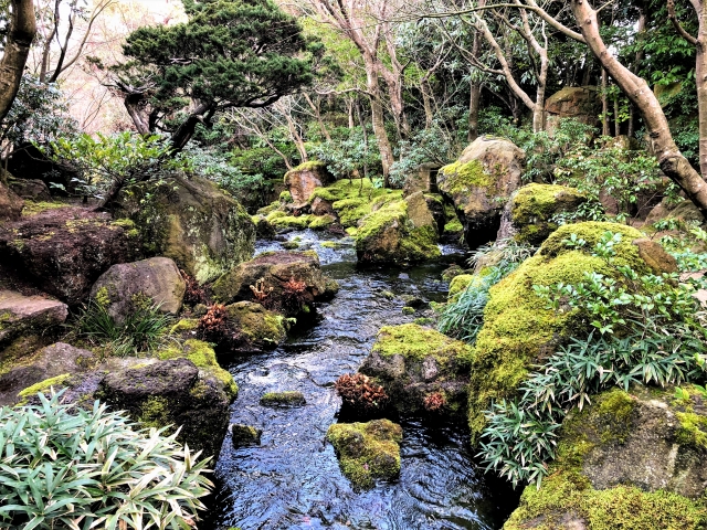 由志園の写真 