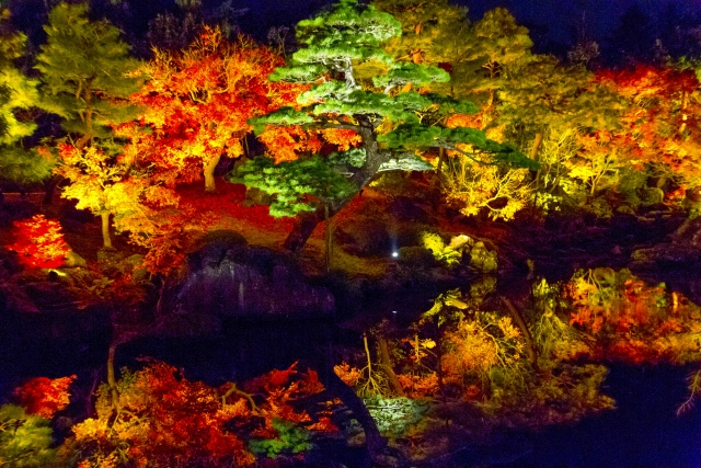 由志園の写真 
