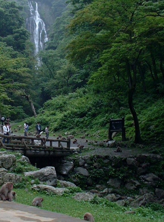 神庭の滝の写真 ©伊部リコ(CC BY 3.0)
