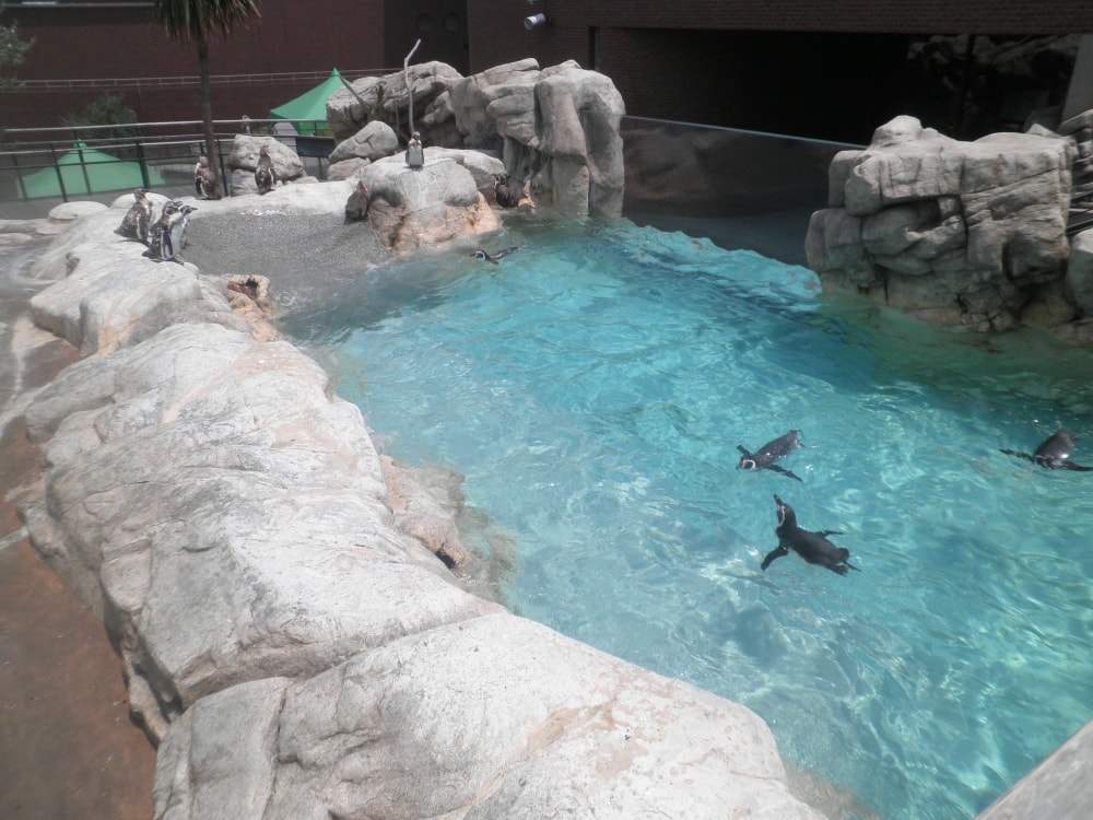 下関市立しものせき水族館の写真 ©At(CC BY-SA 3.0)