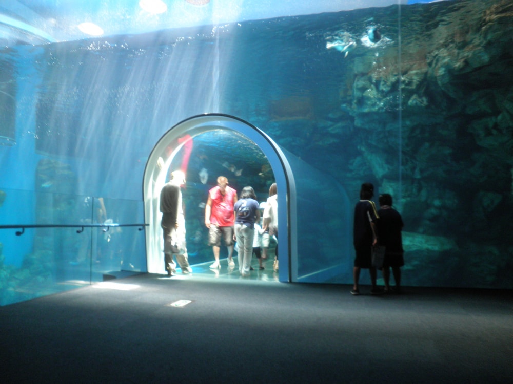 下関市立しものせき水族館の写真 ©At(CC BY-SA 3.0)