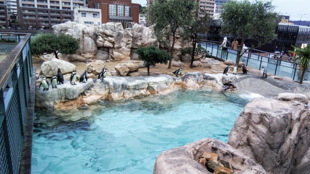 下関市立しものせき水族館の写真 ©要塞騎士(CC BY-SA 4.0)