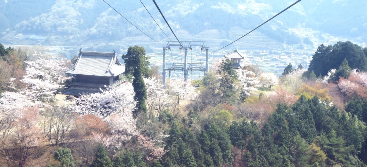 箸蔵山ロープウェイの写真 ©Dokudami(CC BY-SA 4.0)