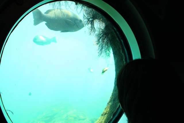 足摺海底館の写真 