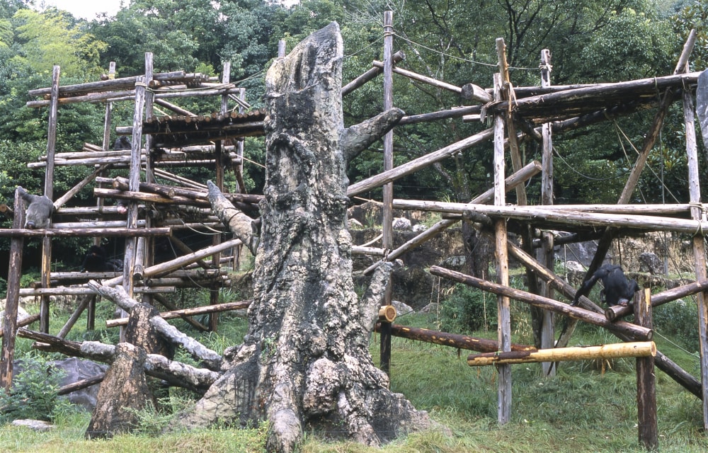 高知県立のいち動物公園の写真 ©Shoichi Masuhara(CC BY 2.0)
