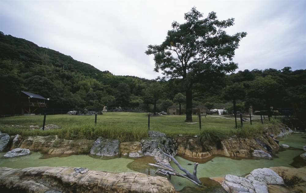 高知県立のいち動物公園の写真 ©Shoichi Masuhara(CC BY 2.0)