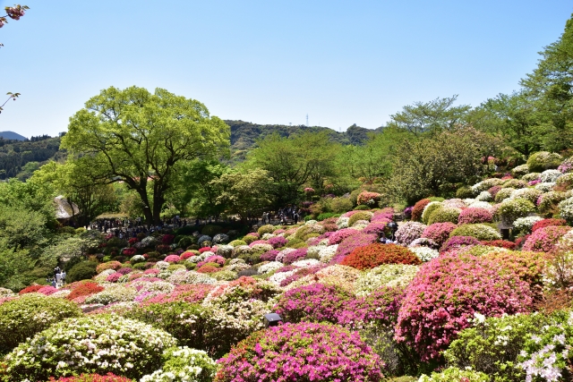 御船山楽園の写真 