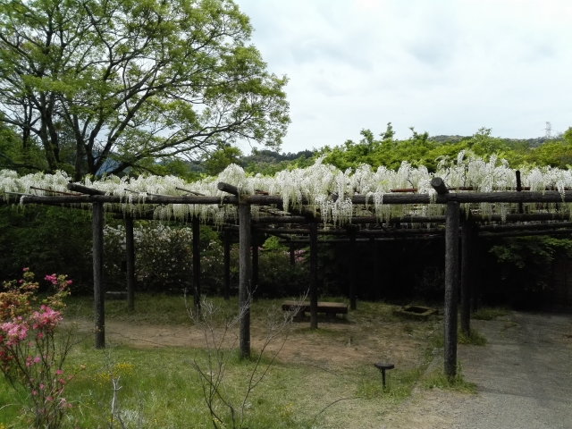 御船山楽園の写真 