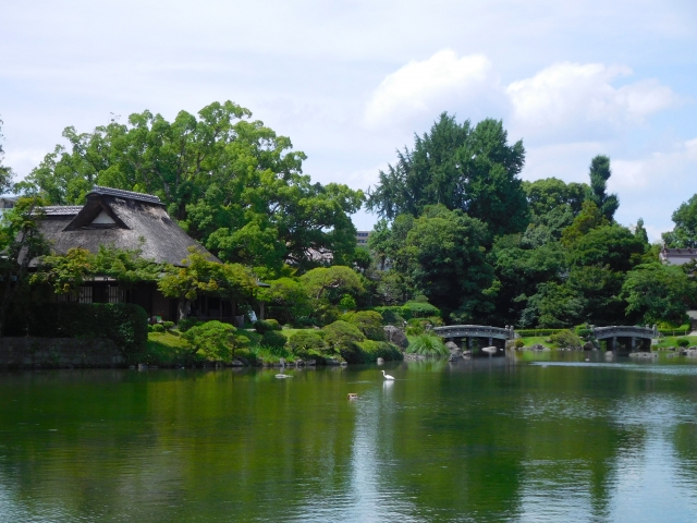 水前寺成趣園の写真 