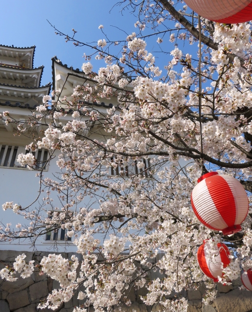 福山城博物館の写真 