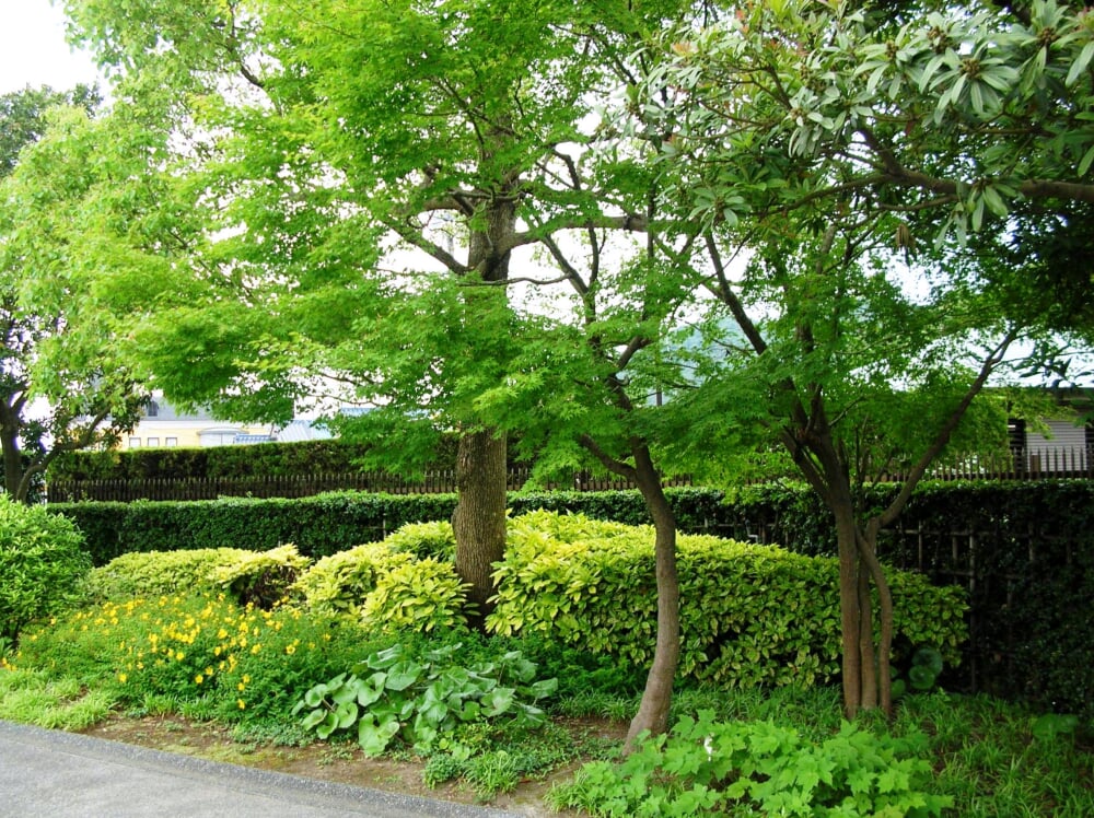 平山郁夫美術館の写真 ©伊部リコ(CC BY 3.0)