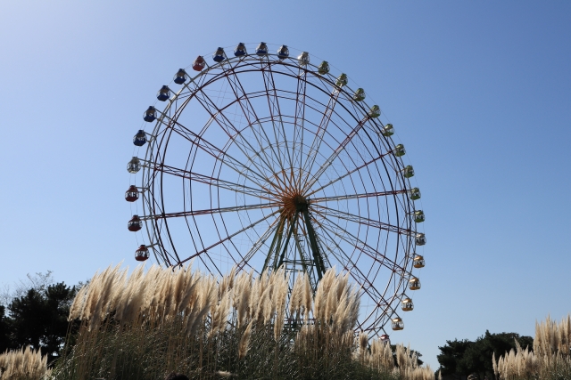 国営ひたち海浜公園の写真 