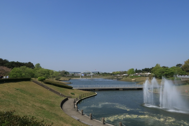 国営ひたち海浜公園の写真 
