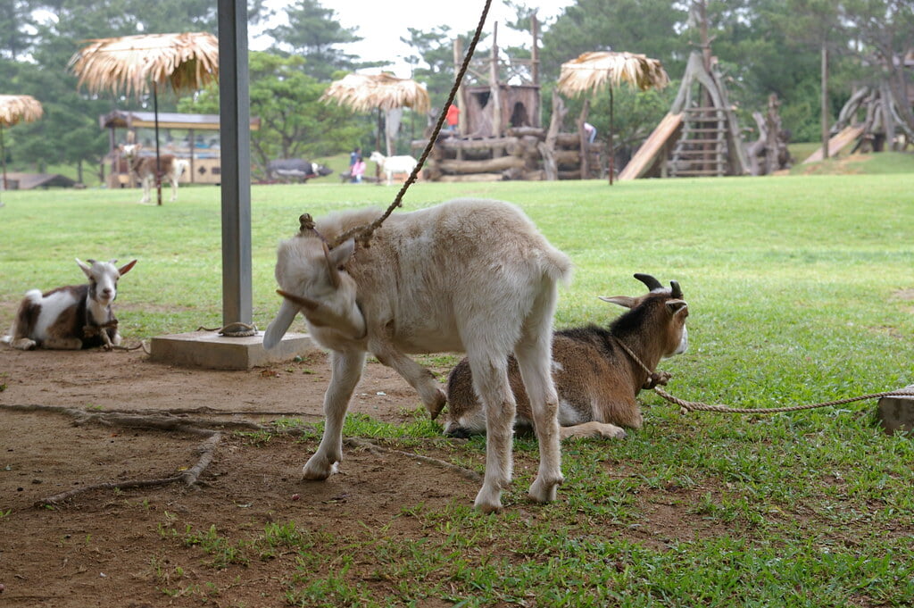ビオスの丘の写真 ©fujikinoko(CC BY 2.0)