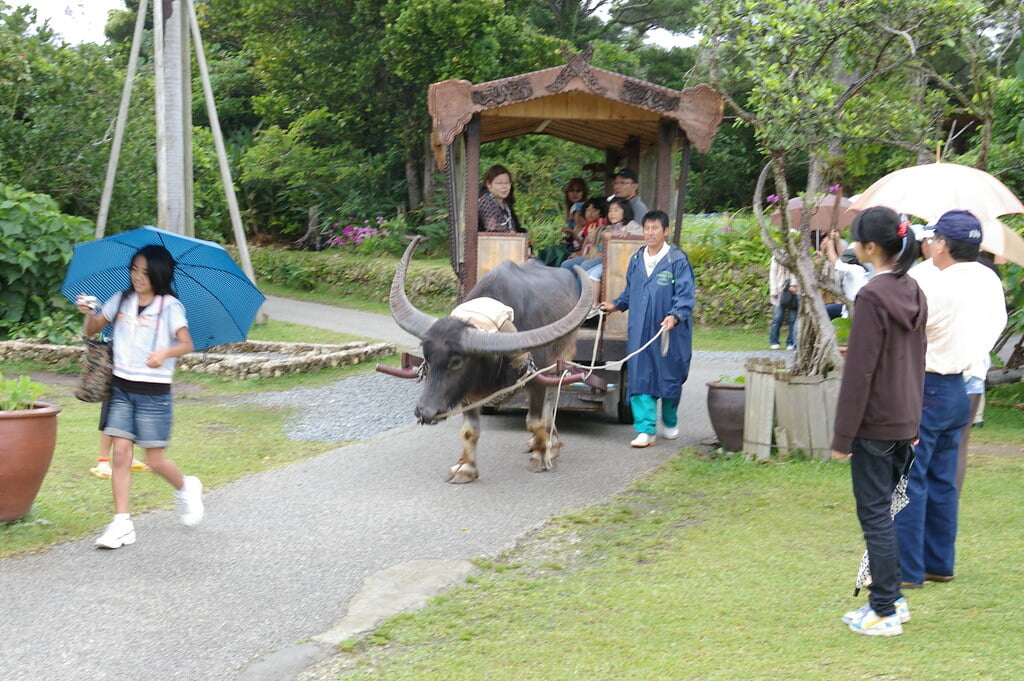 ビオスの丘の写真 ©fujikinoko(CC BY 2.0)