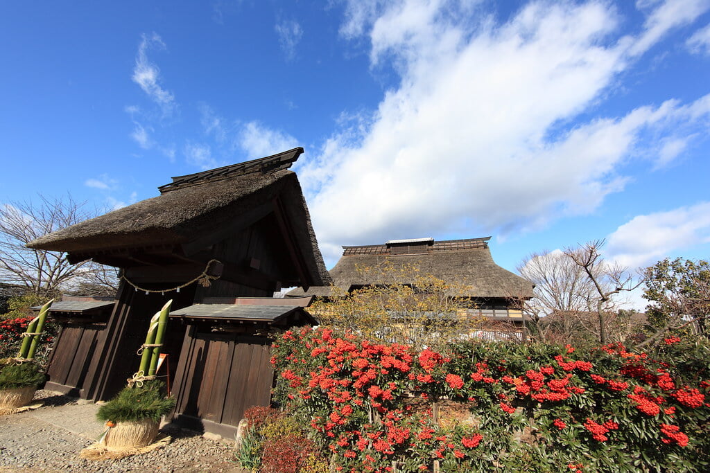 群馬県立ぐんま昆虫の森の写真 ©TANAKA Juuyoh (田中十洋)(CC BY 2.0)