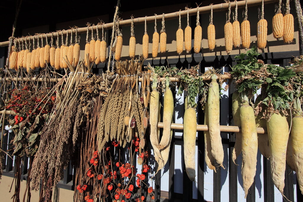 群馬県立ぐんま昆虫の森の写真 ©TANAKA Juuyoh (田中十洋)(CC BY 2.0)