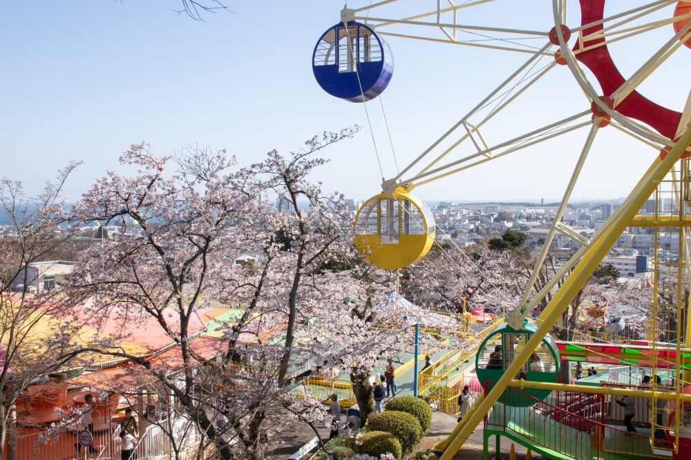 日立かみね公園 レジャーランド・動物園の写真 ©Σ64(CC BY 4.0)