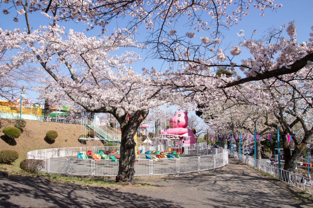 日立かみね公園 レジャーランド・動物園の写真 ©Σ64(CC BY 4.0)