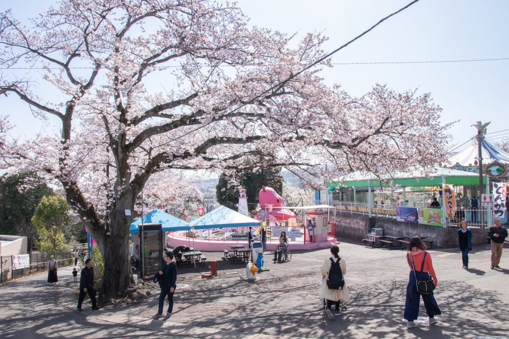 日立かみね公園 レジャーランド・動物園の写真 ©Σ64(CC BY 4.0)