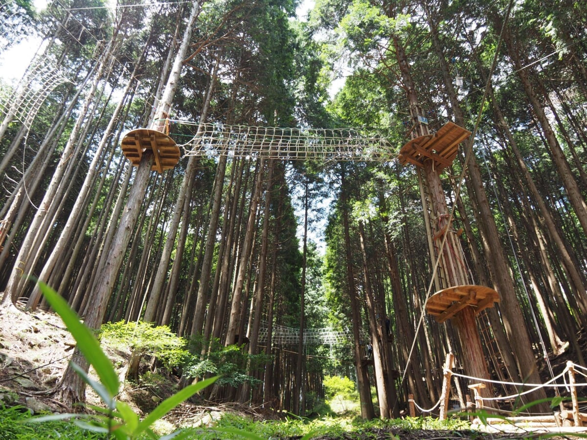 ボウケンノモリ のせの写真 