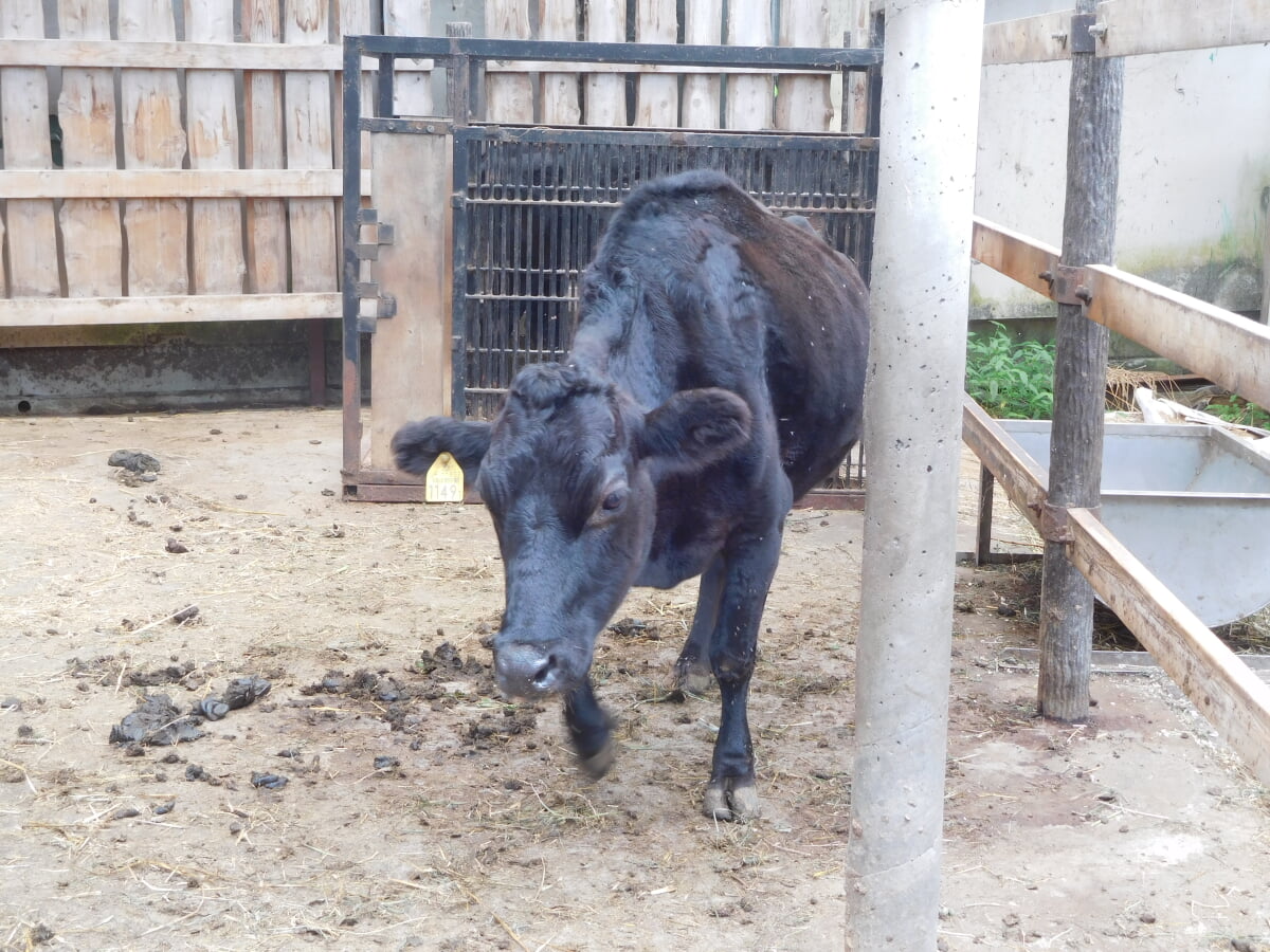 宇都宮動物園の写真 ©Miyuki(CC BY-SA 4.0)
