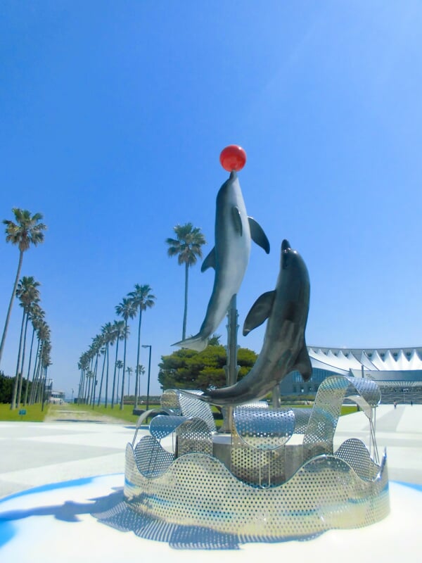 水族館 マリンワールド 海の中道の写真 
