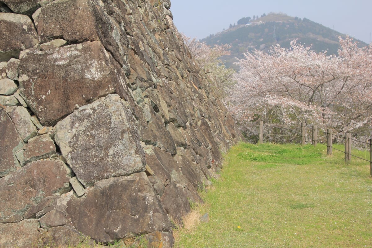 大洲城の写真 