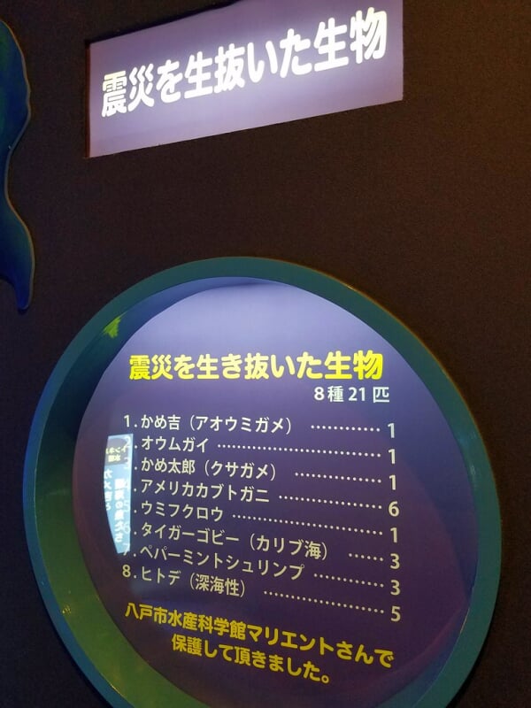 もぐらんぴあ・まちなか水族館の写真 ©jetalone(CC BY 2.0)