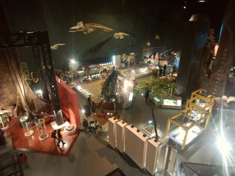 神奈川県立 生命の星・地球博物館の写真 