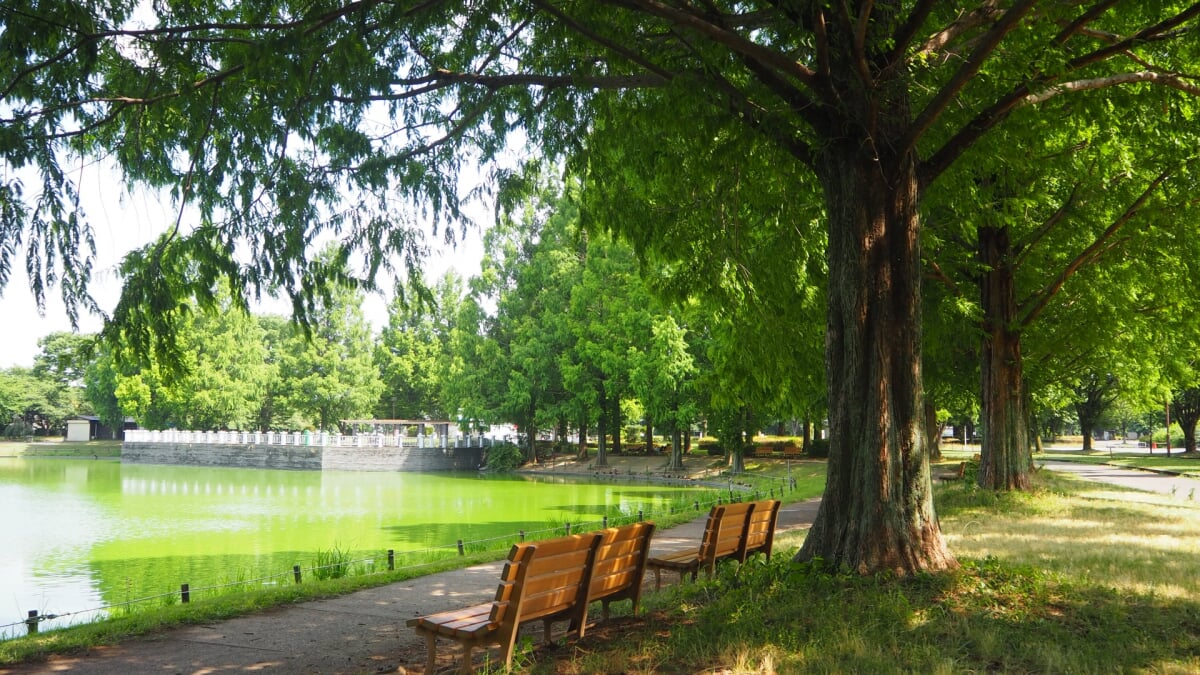 川越水上公園の写真 