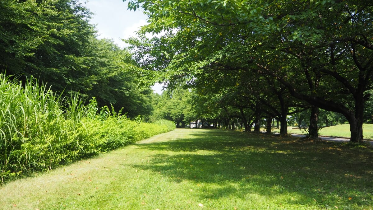 川越水上公園の写真 