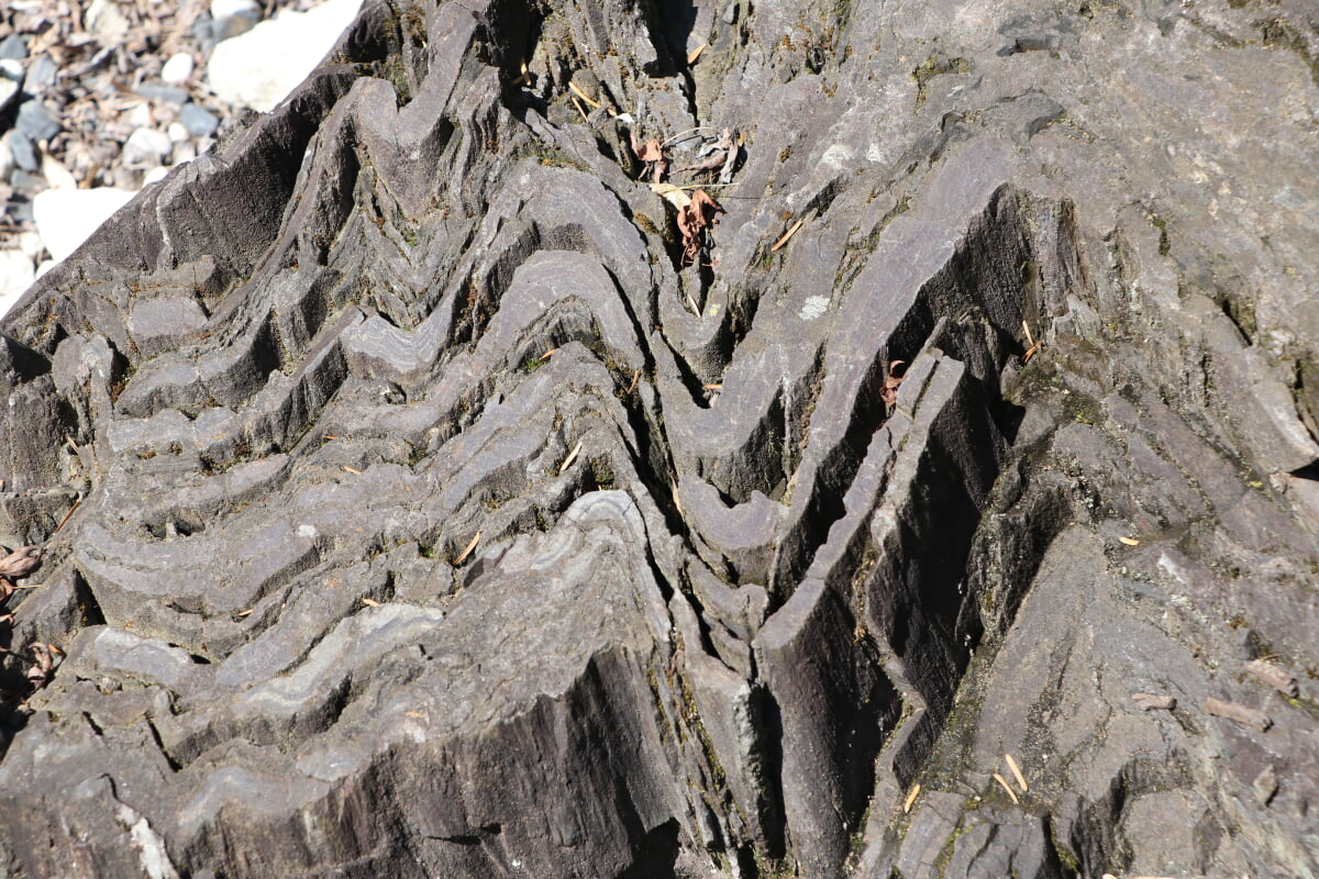 埼玉県立自然の博物館の写真 ©Osumi(CC BY-SA 4.0)